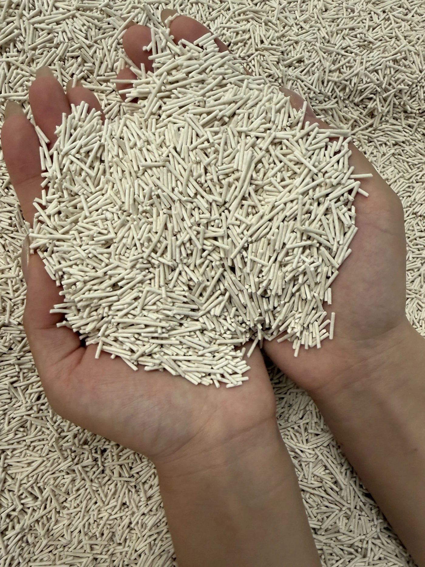 Hands holding fresh tofu cat litter granules