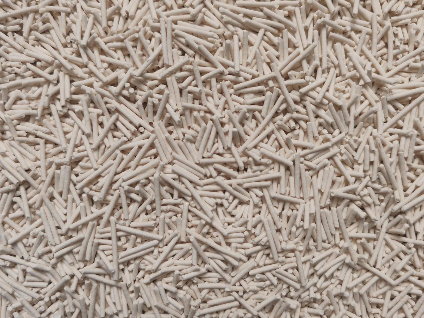Tofu cat litter pellets close-up